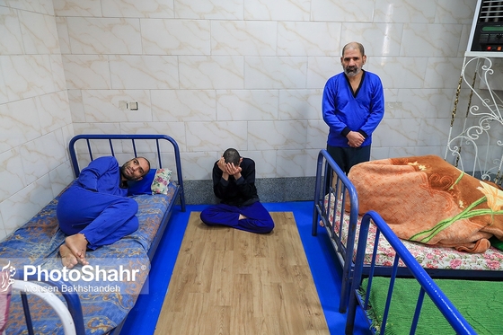 «پناهندگان ضامن آهو»