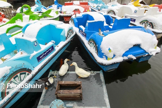 بارش برف پاییزی در مشهد