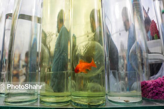 بازار شب عید