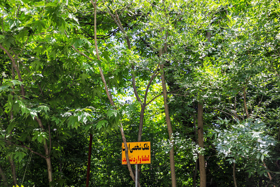 طبیعت «کلاته آهن»