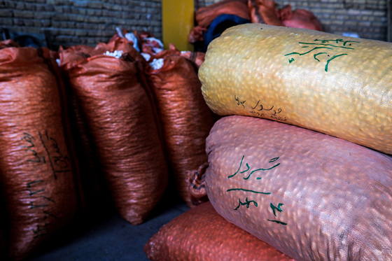 ابریشم کشی