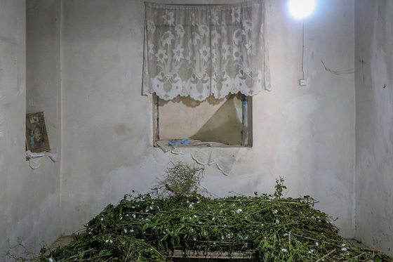 ابریشم کشی