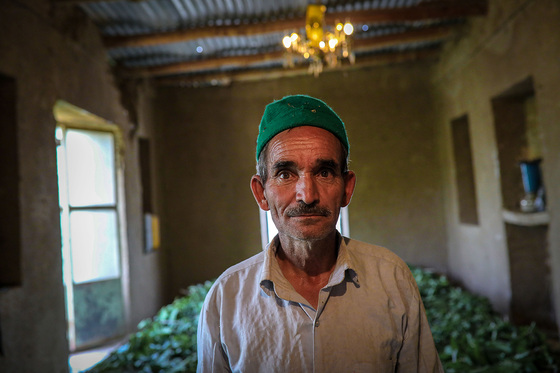 ابریشم کشی