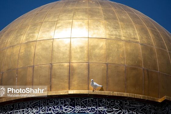 حال و هوای حرم مطهر امام رضا (ع) در دهه کرامت