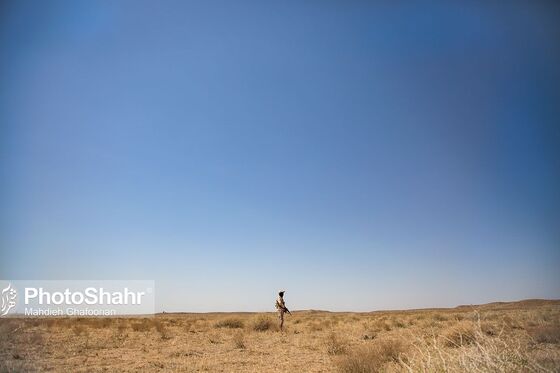 دیدبانی و کنترل محیط توسط مرزبانانی که با جدیت حتی پرواز پرندگان را هم رصد می‌کنند.