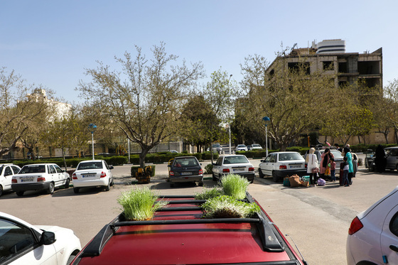روز طبیعت در مشهد