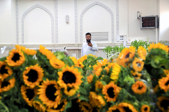 گل آرایی حرم مطهر رضوی در آستانه میلاد امام رضا (ع)