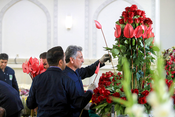 گل آرایی حرم مطهر رضوی در آستانه میلاد امام رضا (ع)
