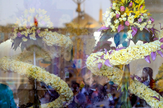 گل آرایی حرم مطهر رضوی در آستانه میلاد امام رضا (ع)