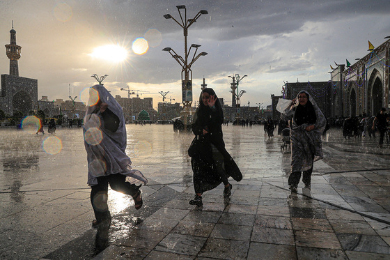 گلباران حرم مطهر رضوی در شب میلاد امام رضا(ع)