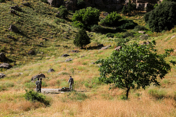 طبیعت پارک ملی تندوره