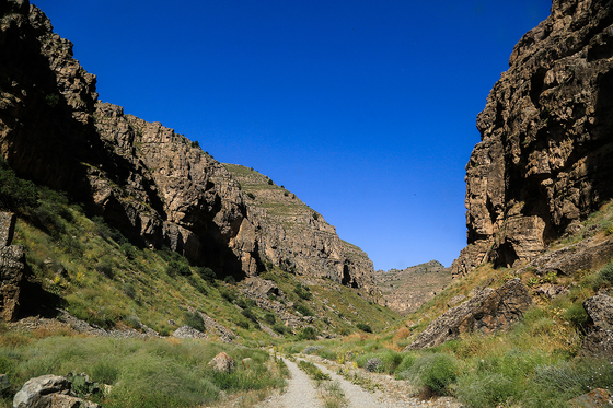 طبیعت پارک ملی تندوره