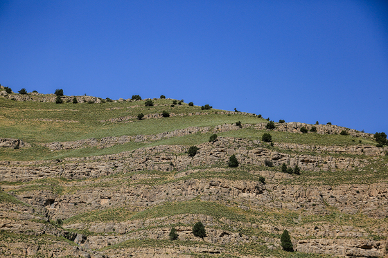 طبیعت پارک ملی تندوره
