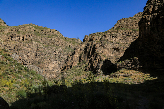 طبیعت پارک ملی تندوره