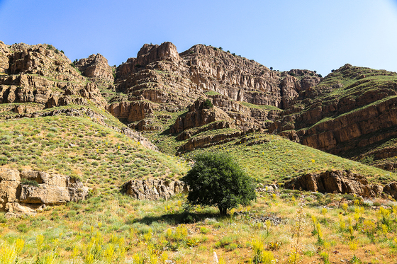 طبیعت پارک ملی تندوره