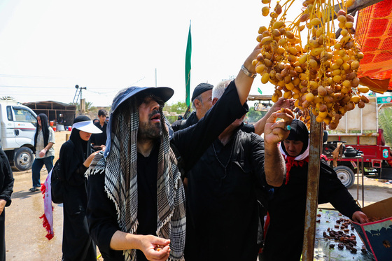 زائران پیاده اربعین در مسیر کربلا