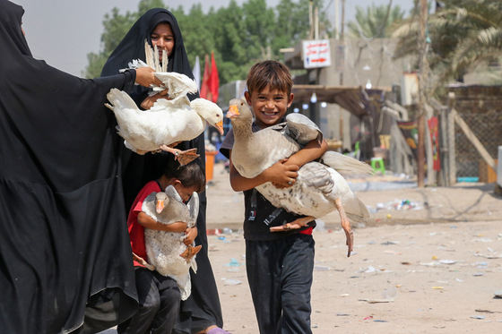 خادمان کوچک اربعین