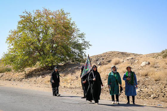زائران پیاده در مسیر حرم مطهر رضوی