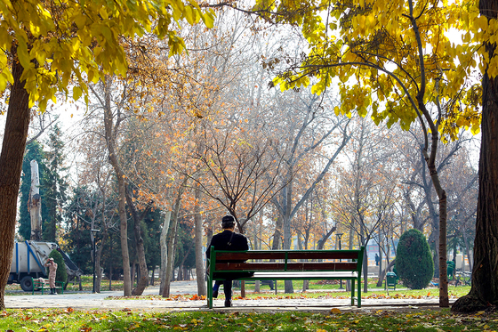طبیعت پاییزی در مشهد