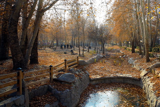 طبیعت پاییزی در مشهد