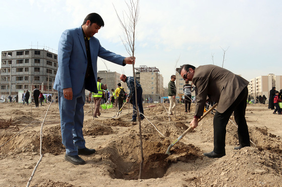 مراسم روز درختکاری در مشهد 