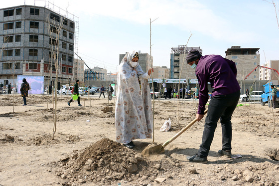 مراسم روز درختکاری در مشهد 