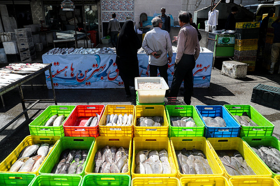 بازار ماهی فروشان در شهرک عربهای مشهد