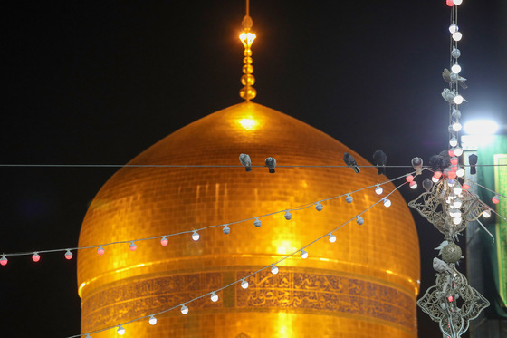  چراغانی حرم مطهر رضوی به مناسبت دهه کرامت