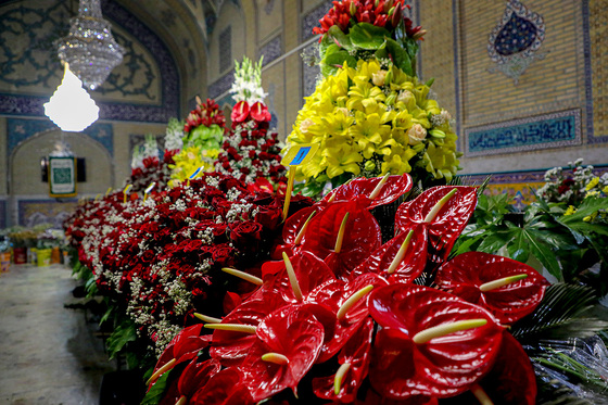 چراغانی و گل آرایی حرم مطهر رضوی به مناسبت میلاد امام رضا (ع)
