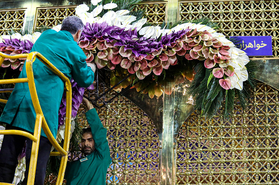 چراغانی و گل آرایی حرم مطهر رضوی به مناسبت میلاد امام رضا (ع)