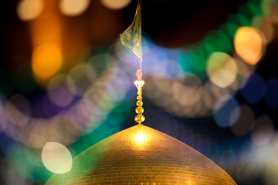 چراغانی و گل آرایی حرم مطهر رضوی به مناسبت میلاد امام رضا (ع)