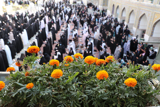 نماز عید قربان در حرم مطهر رضوی