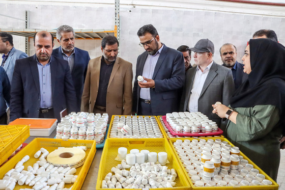بازدید فرماندار از چهار واحد تولیدی صنایع تبدیلی بخش کشاورزی 