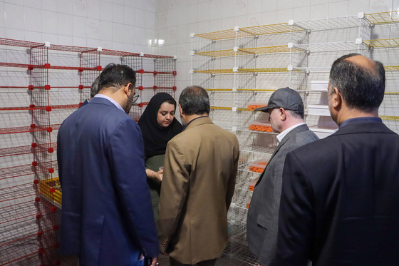 بازدید فرماندار از چهار واحد تولیدی صنایع تبدیلی بخش کشاورزی 