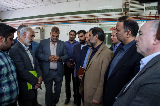 بازدید فرماندار از چهار واحد تولیدی صنایع تبدیلی بخش کشاورزی 