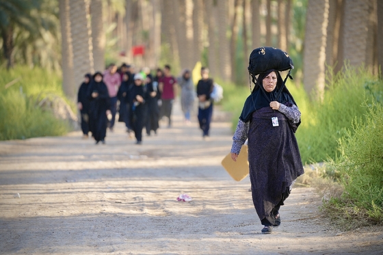 زائران پیاده در مسیر کربلا