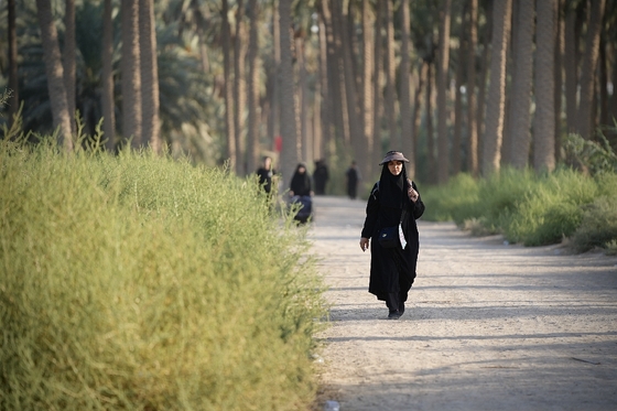 زائران پیاده در مسیر کربلا