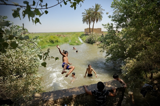زائران پیاده در مسیر کربلا