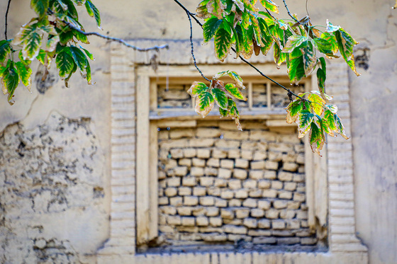 پاییز کوهسنگی