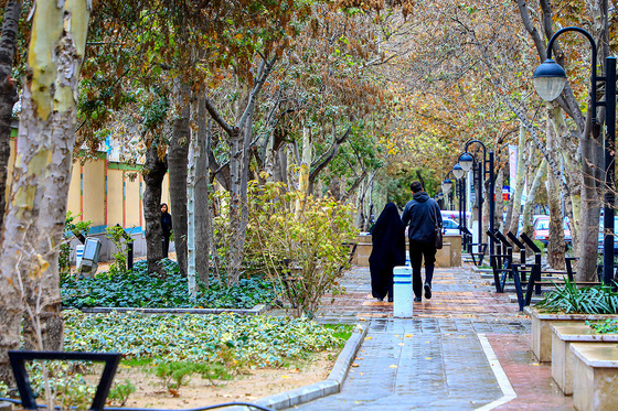 پاییز کوهسنگی