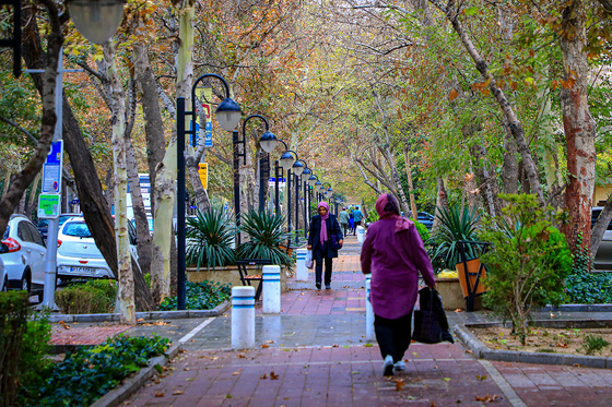 پاییز کوهسنگی