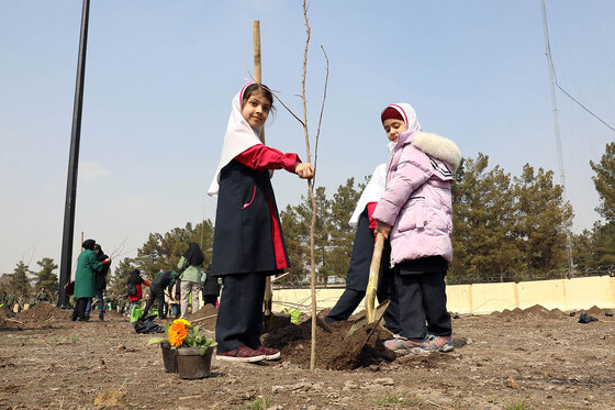 پویش سراسری درختکاری