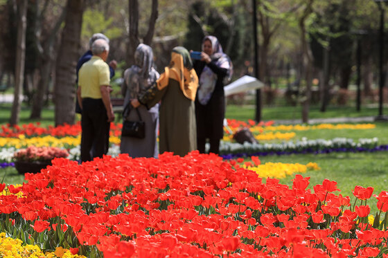 رویش لاله ها در بوستان ملت