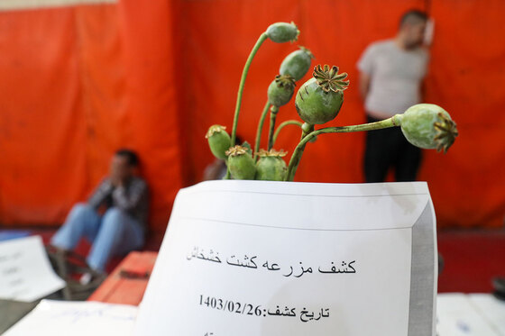 نمایشگاه کشفیات پلیس