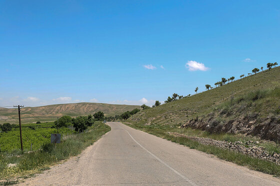 تاکستان های روستای بیگلر