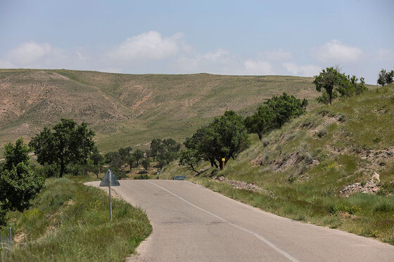 تاکستان های روستای بیگلر