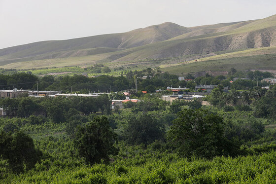 تاکستان های روستای بیگلر