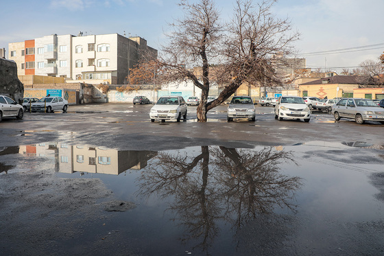 بارش باران در مشهد