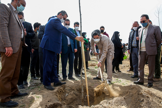 پویش سراسری درخت‌کاری