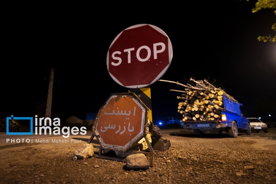 گزارش تصویری | قاچاق چوب